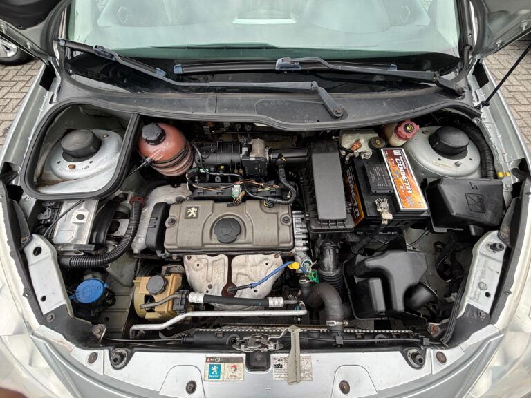 WhatsApp Image 2025-11-05 at 12.04.33