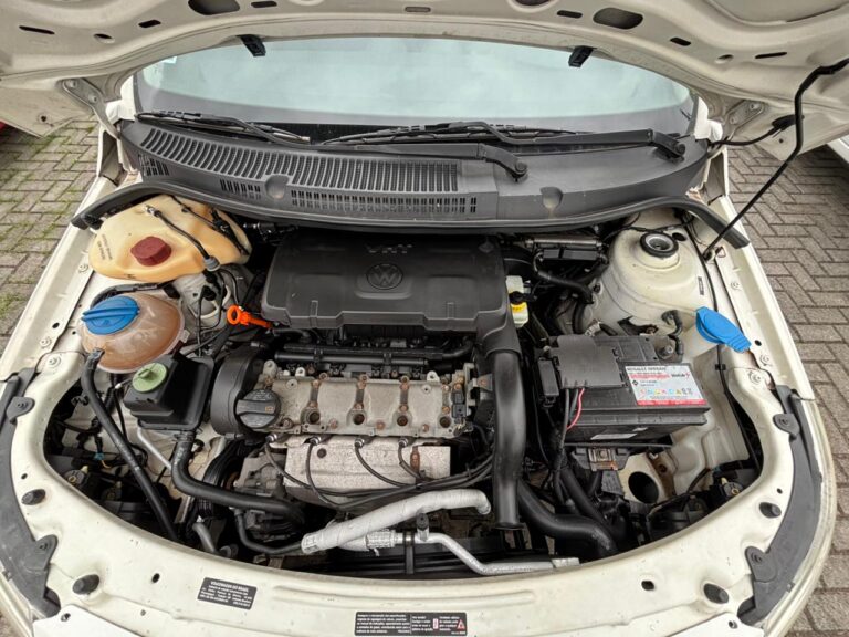 WhatsApp Image 2025-12-04 at 12.56.26 (2)